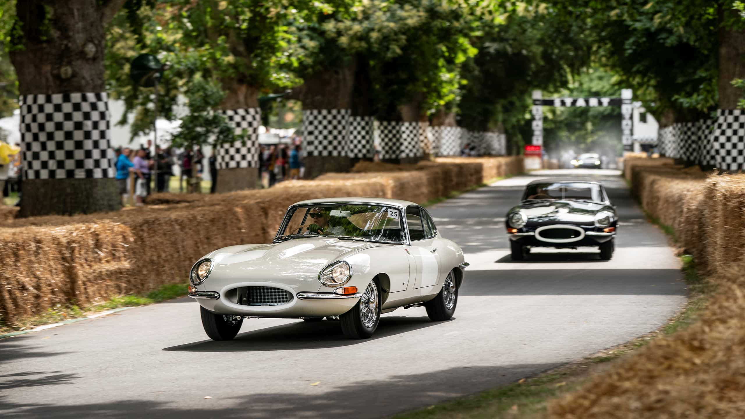 Two Jaguar Vintage Cars on the racetrack