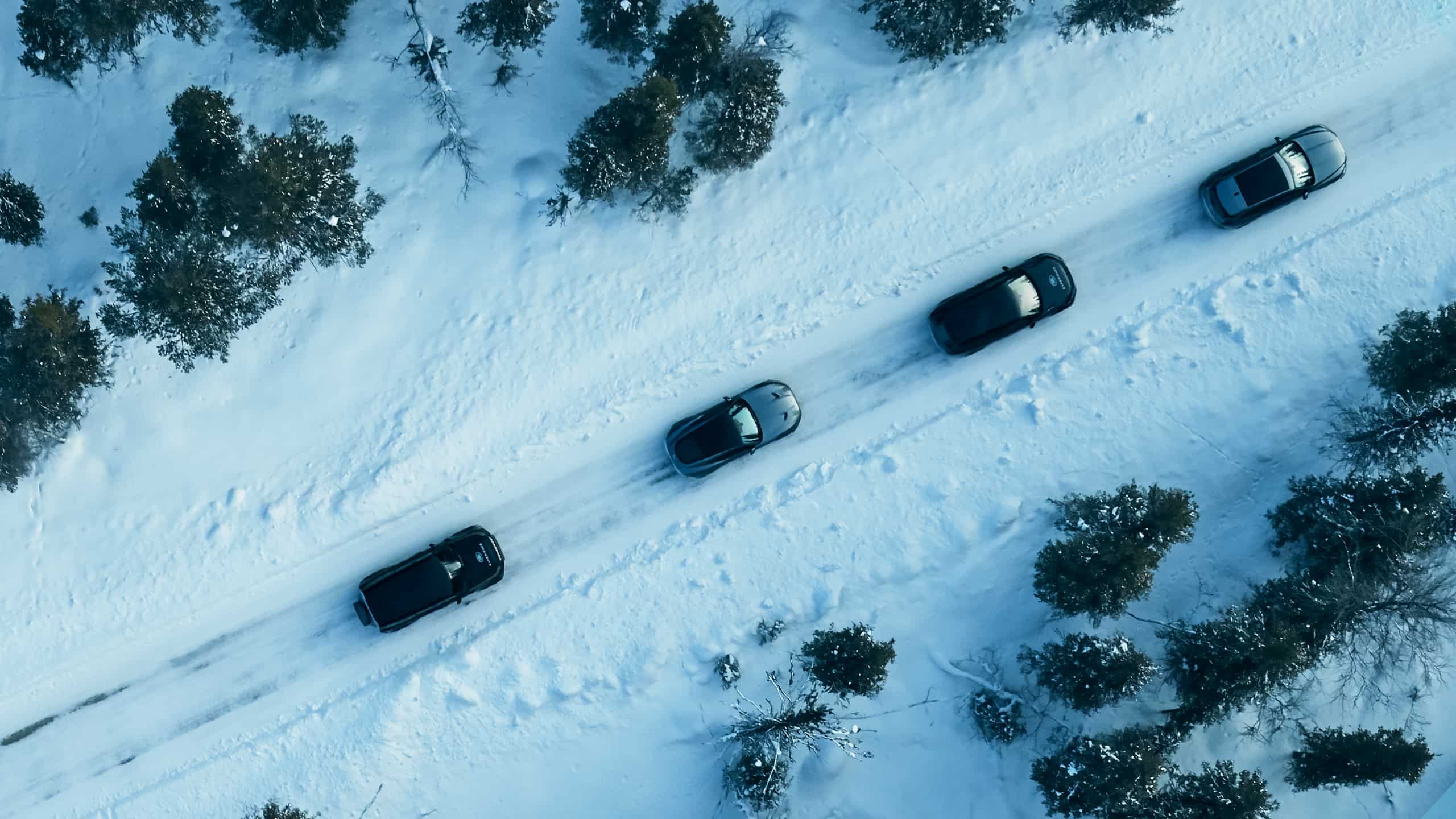 Jaguar running on mountain filled completed by snow